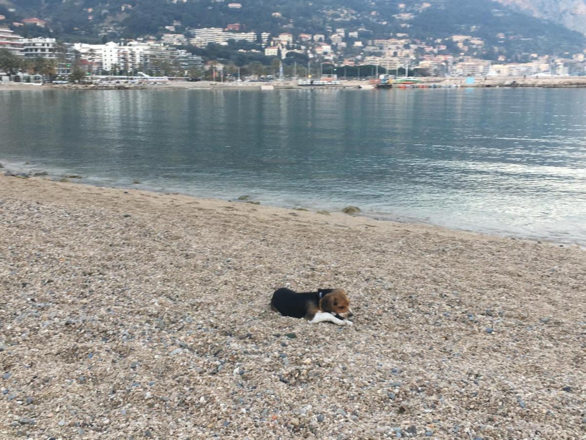 Appartement Maroelvi Menton Eksteriør billede
